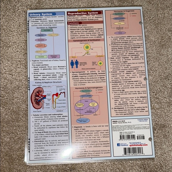 Physiology Quick Study Guide - Picture 2 of 2